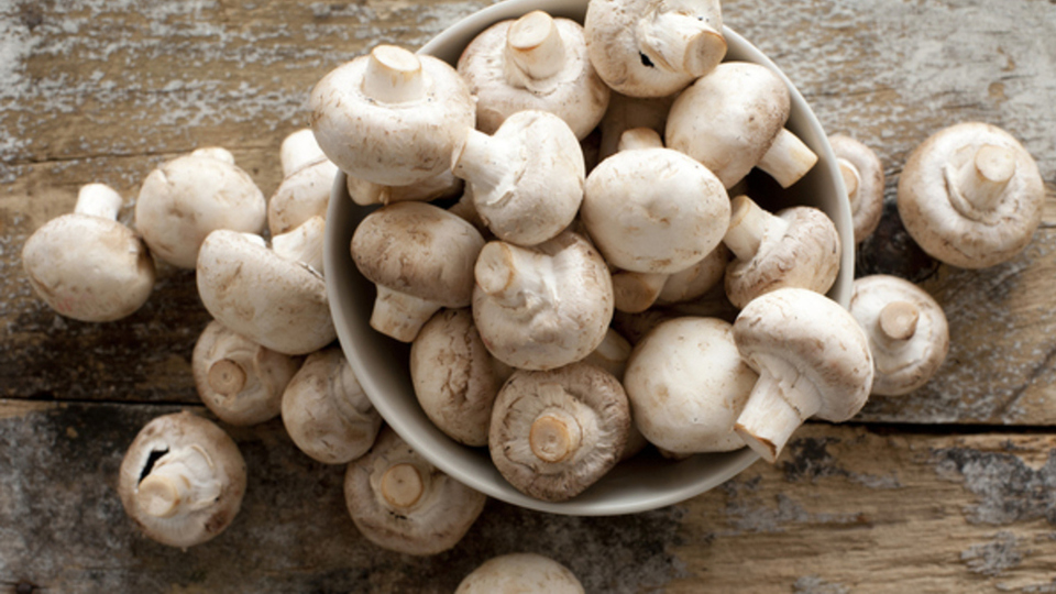 Mantarla yoğurt yenir mi?