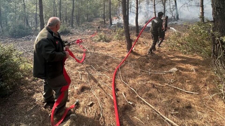 Osmaniye'de örtü yangını çıktı