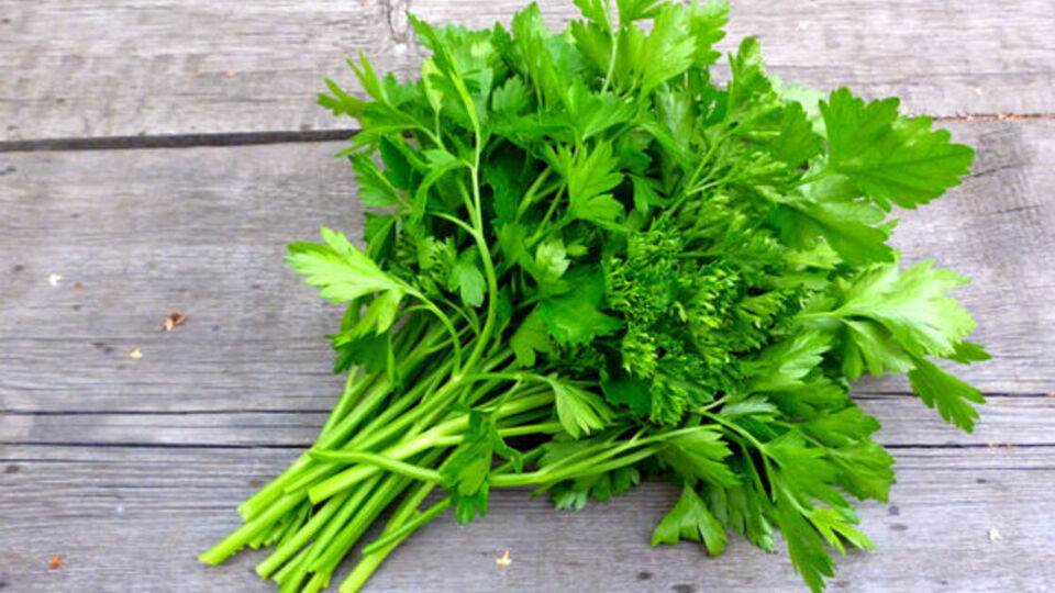 Hamilelikte mayonez yenir mi?