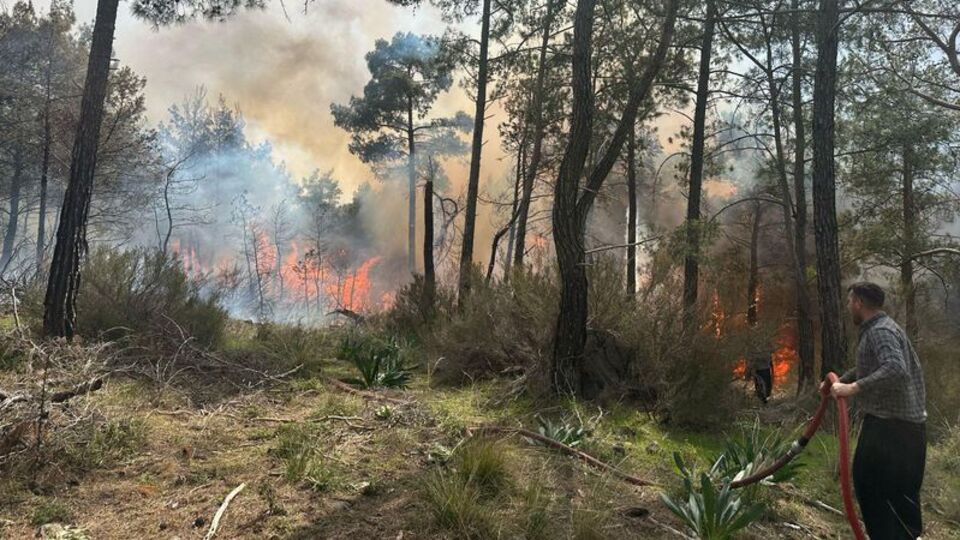 Antalya'da orman yangını!