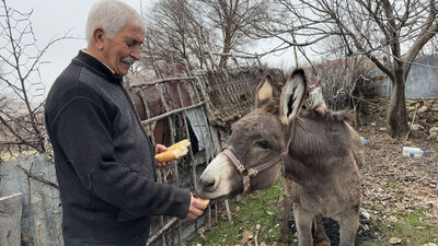 Kırsala terk edilen eşeğe 21 yıldır bakan hayvansevere destek yağdı