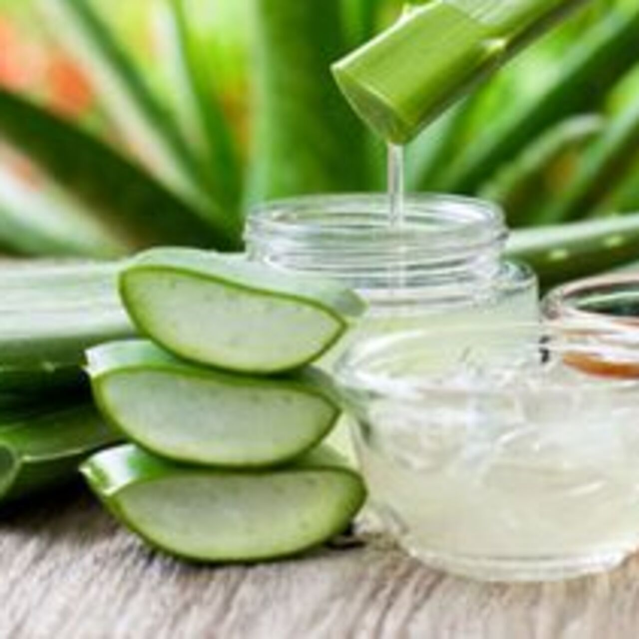Aloe Vera yenir mi?