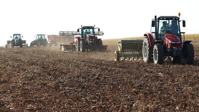 3 milyon dönüm alana buğday ekildi