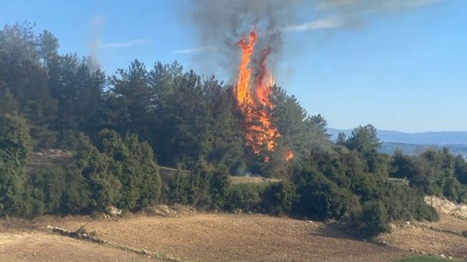Kahramanmaraş'ta ormanlık alanda yangın