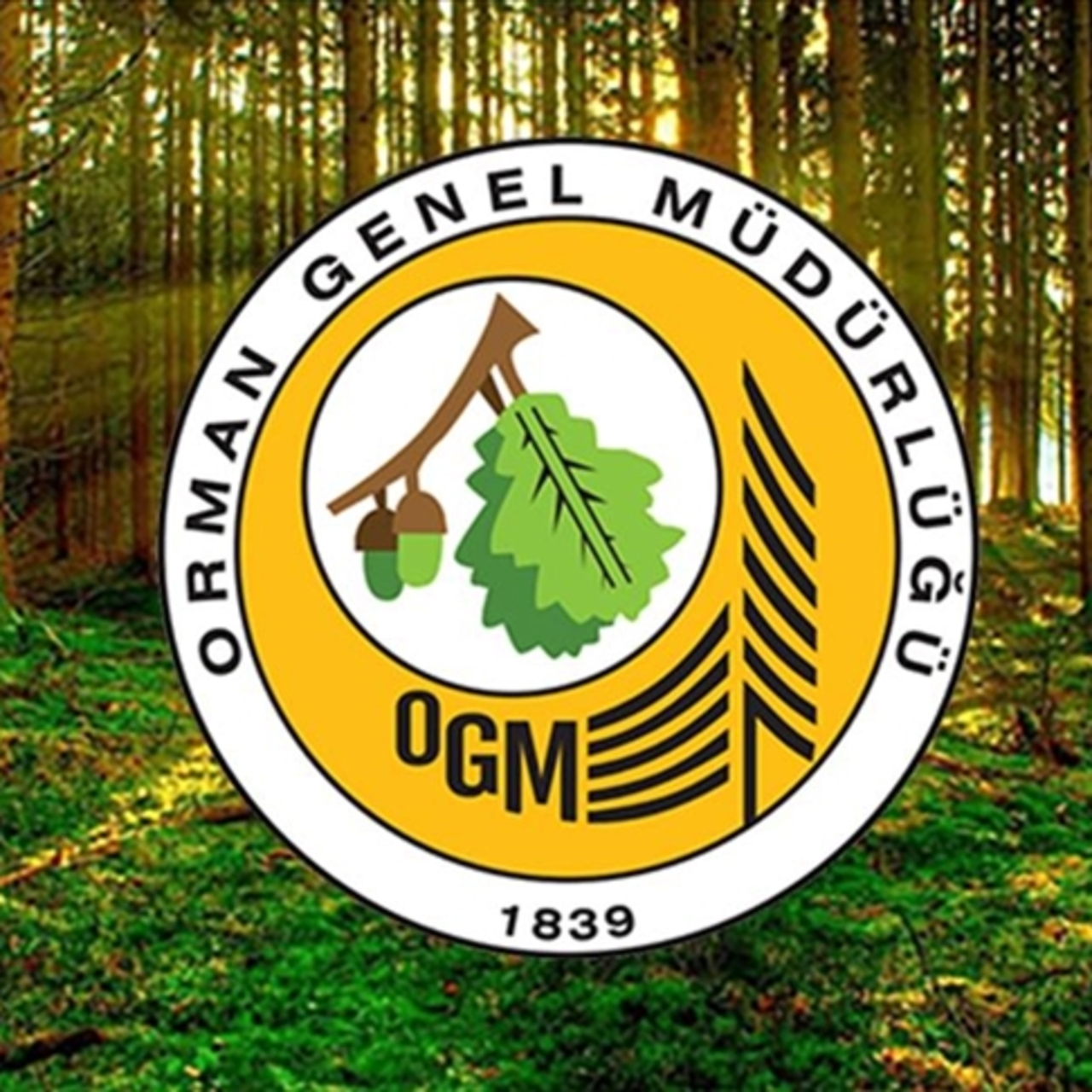 OGM'ye 4 bin 500 işçi alınacak!