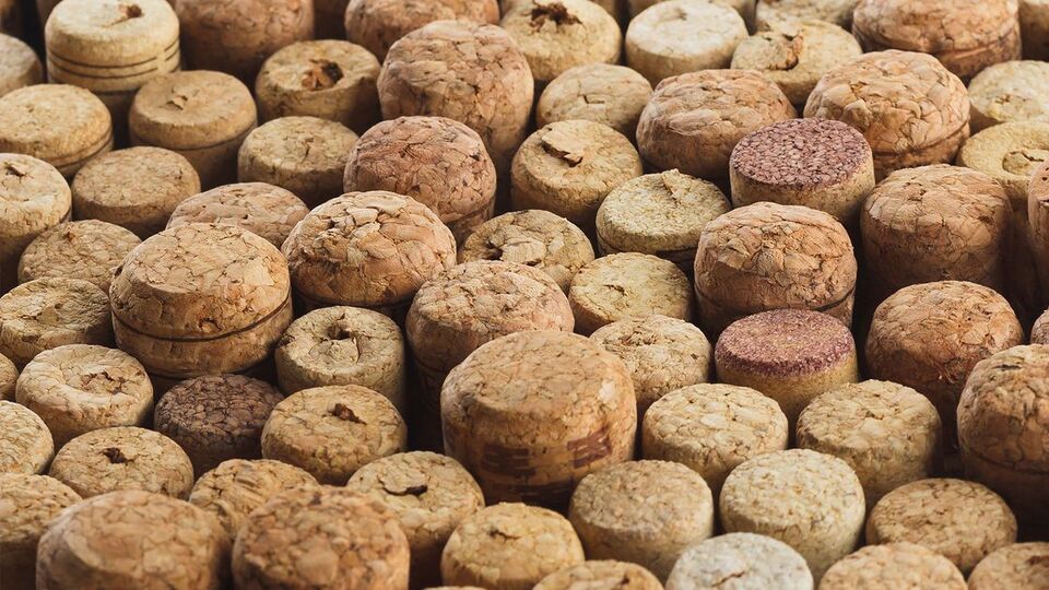 Sahte içkiler hücreleri yavaş yavaş öldürüyor