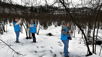 Fındıkta korkulan olmadı