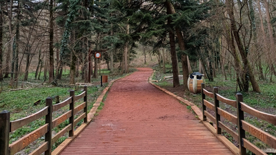 Belgrad Ormanı'nda kaybolmamak için