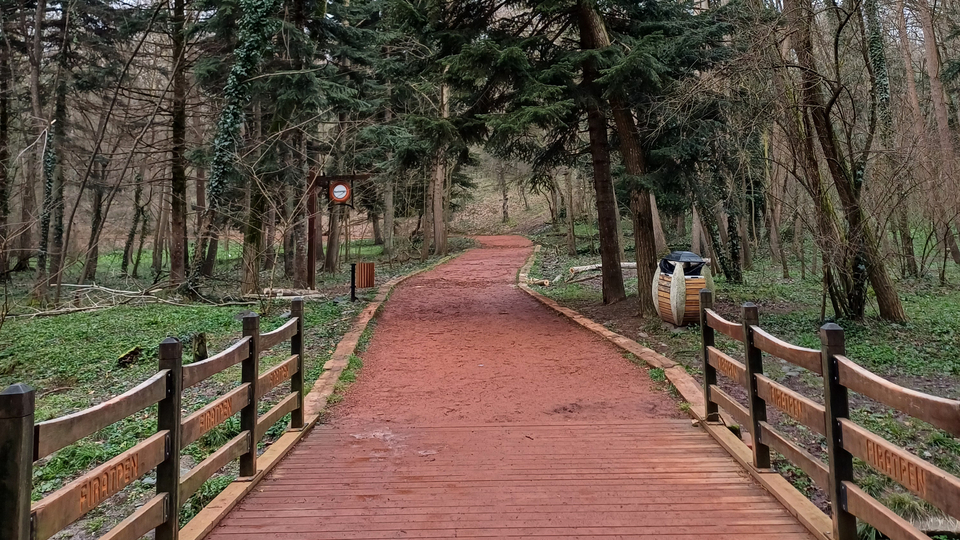 Belgrad Ormanı'nda kaybolmamak için