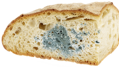 Küflü ekmek yenir mi?