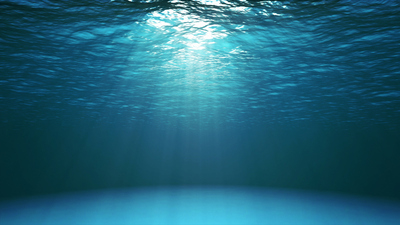 Fare Balığı Yenir mi?