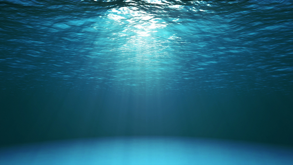 Fare Balığı Yenir mi?