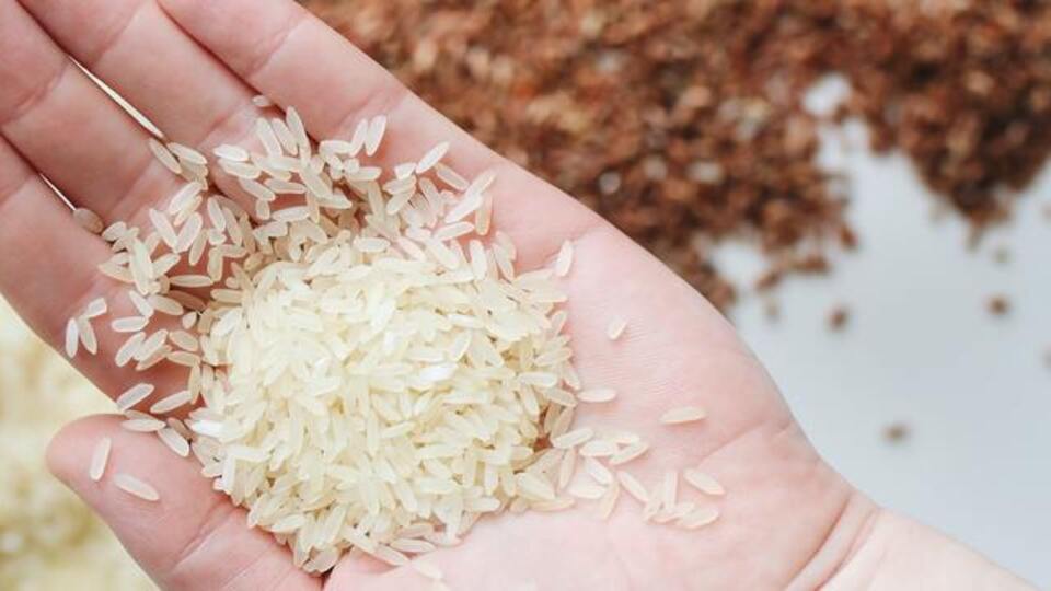 Güvelenmiş Pirinç Yenir mi?