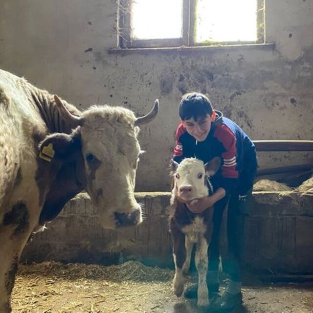 Duygulandıran görüntü! Sarılarak veterinere götürdü!