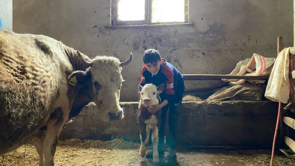 Duygulandıran görüntü! Sarılarak veterinere götürdü!