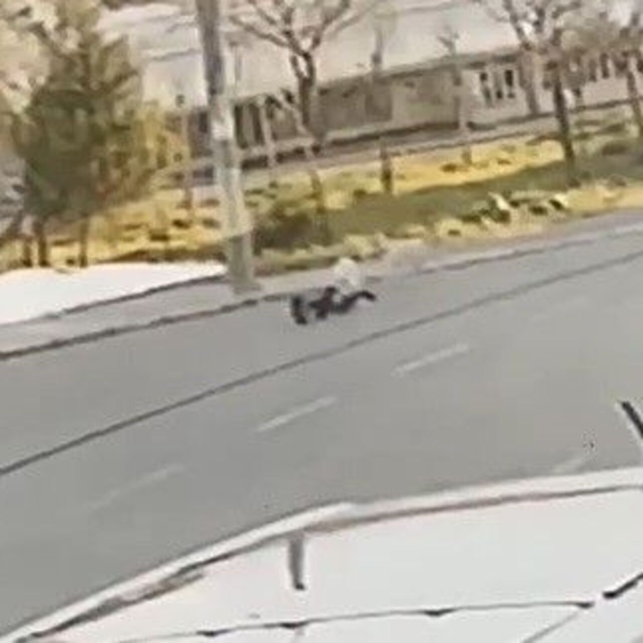 Köpeğin çocuğu ısırdığı anlar kamerada