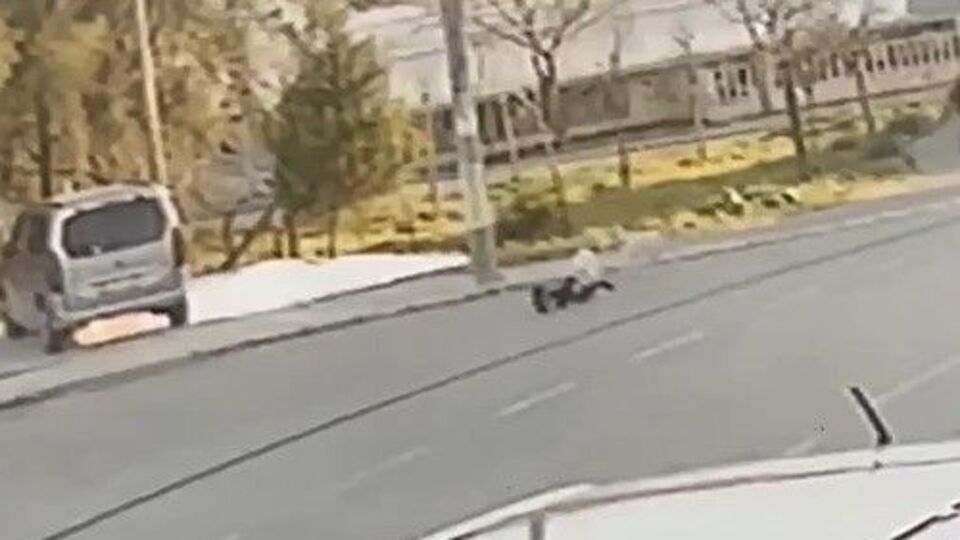 Köpeğin çocuğu ısırdığı anlar kamerada