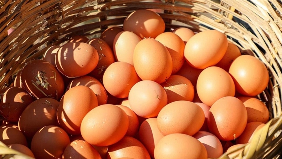 Diyette yumurta yenir mi?