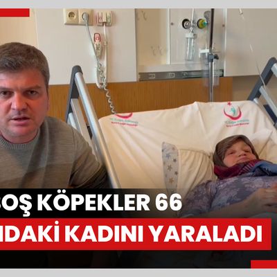 Başıboş köpekler 66 yaşındaki kadını yaraladı