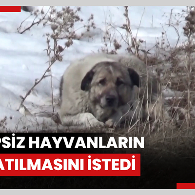 Köpeklerin saldırısında kızını kaybeden baba, sahipsiz hayvanların toplatılmasını istedi