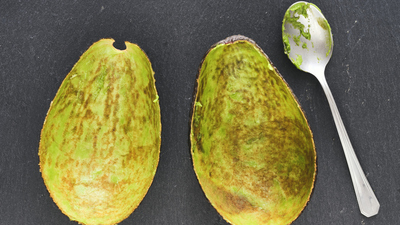Avakadonun kabuğu yenir mi?