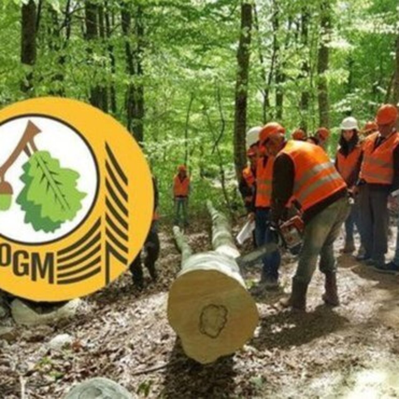 OGM işçi alımı başvurusu ne zaman ve nasıl yapılır?
