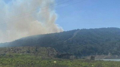 Çanakkale'de orman yangını çıktı!