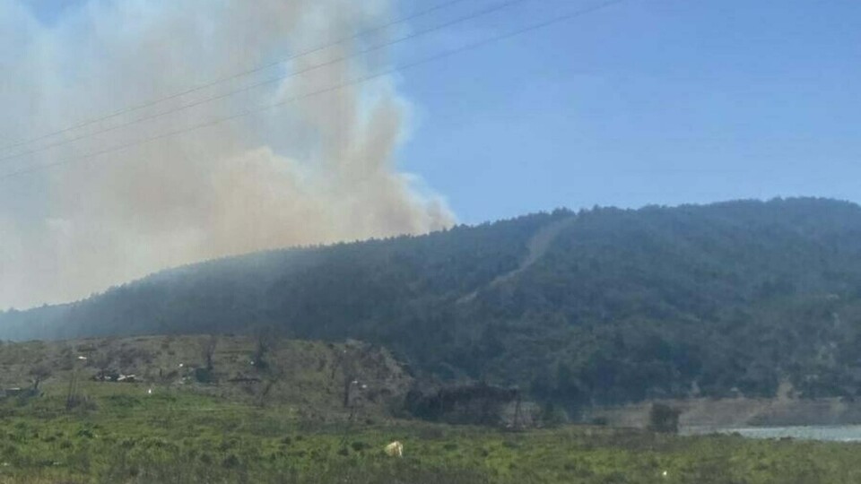 Çanakkale'de orman yangını çıktı!