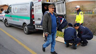 Traktörün altında kalan çiftçi öldü