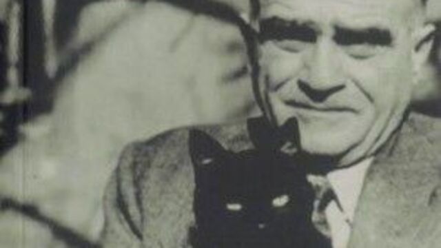 Dante, Vergilius, Yahya Kemal, Ahmet Hamdi