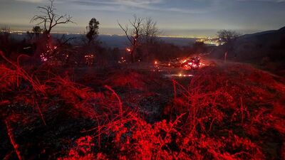 Yalova'da orman yangın