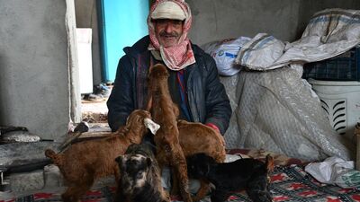 9 yıldır yaylada hayvanlarıyla yaşıyor