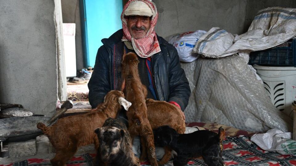 9 yıldır yaylada hayvanlarıyla yaşıyor