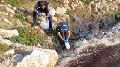 Bakanlık, Ceyhan'da inceleme başlattı