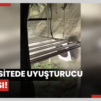 Lüks sitede uyuşturucu serası!