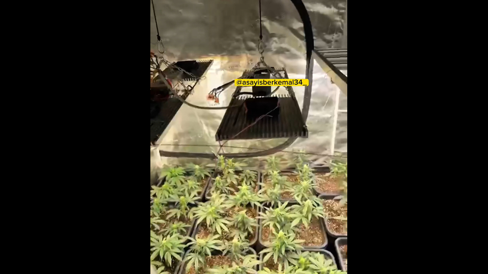 Lüks sitede uyuşturucu serası!