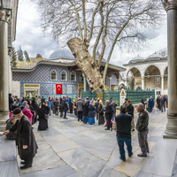 Eyüp Sultan Camii'deki ağacın hikayesi...