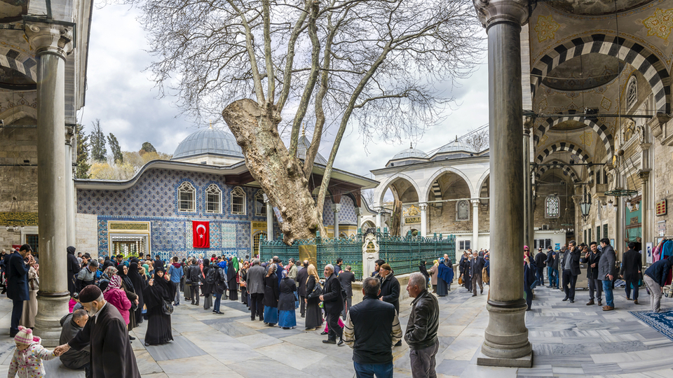 Eyüp Sultan Camii'deki ağacın hikayesi...