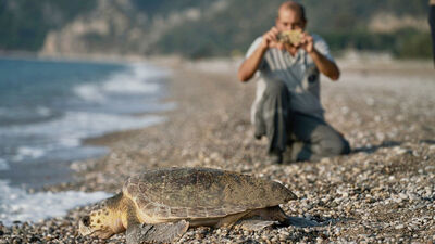 Mart sonunda rastlayabilirsiniz! "Lütfen rahatsız etmeyin"