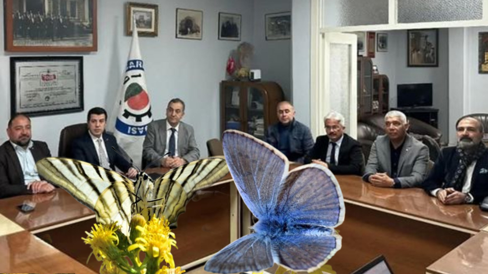 Mut'ta "Kelebek Festivali" hazırlığı