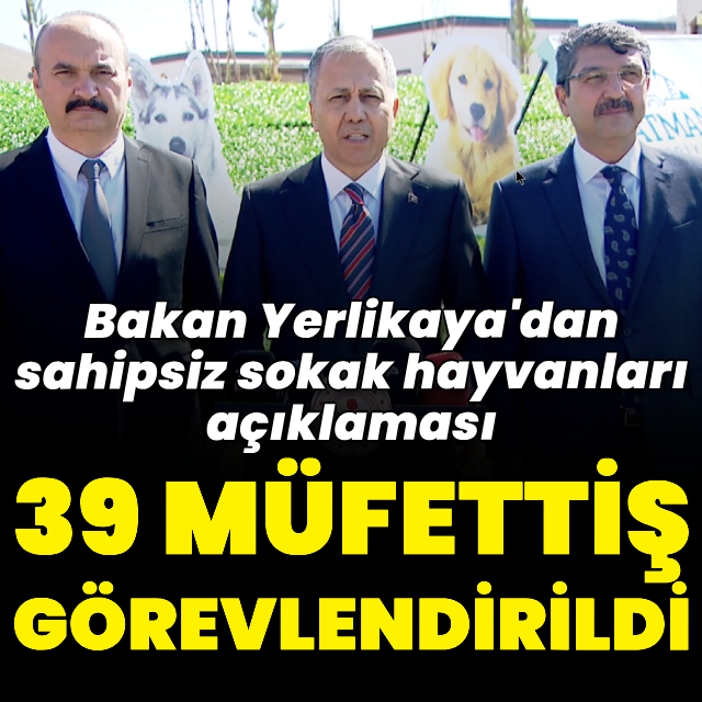 Yerlikaya'dan başıboş sokak hayvanları açıklaması