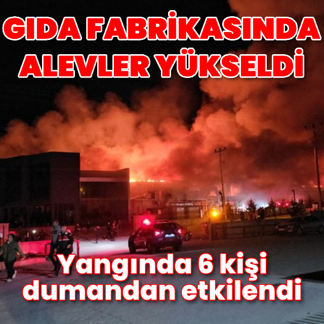 Çorum'da gıda fabrikasında yangın çıktı