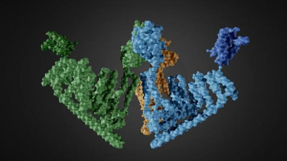 Çoğumuz varlığından habersiziz: Kolesterolü düşürüyor
