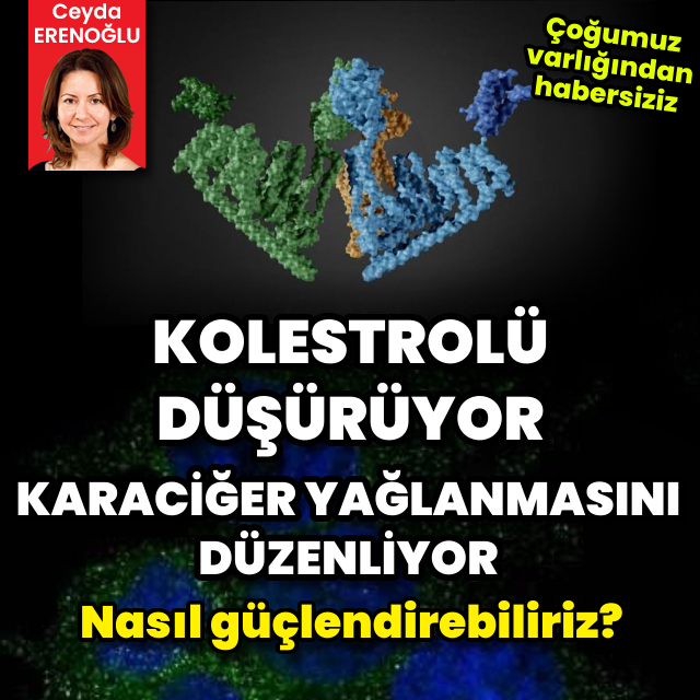 Çoğumuz varlığından habersiziz: Kolesterolü düşürüyor