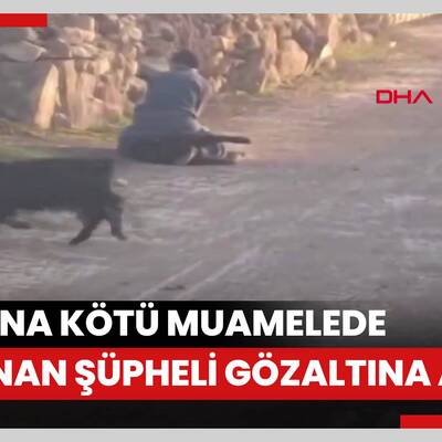 Koyuna kötü muamelede bulunan şüpheli gözaltına alındı