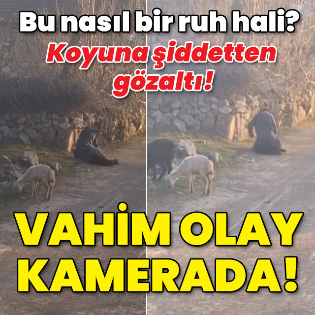 Bu nasıl bir ruh hali? Koyuna şiddetten gözaltı! Vahim olay kamerada!