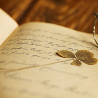 Söz sanatları nedir?