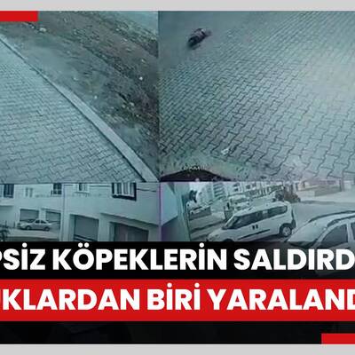 Sahipsiz köpeklerin saldırdığı çocuklardan biri yaralandı