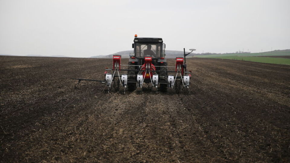 Edirne'de ayçiçeğinde "erken ekim" önerisi