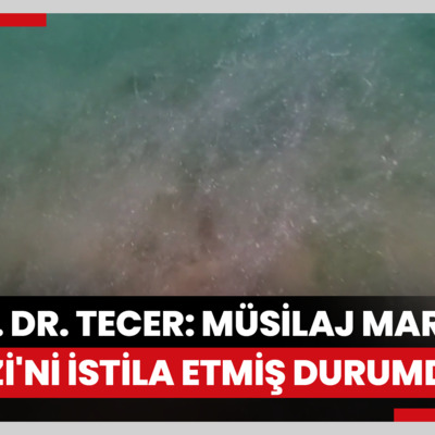 Prof. Dr. Tecer: Müsilaj Marmara Denizi'ni istila etmiş durumda